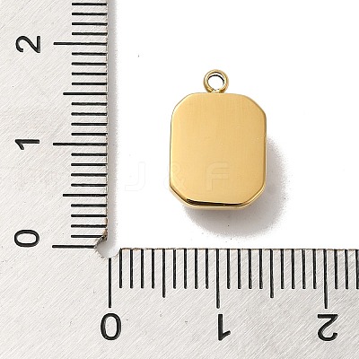 304 Stainless Steel Glass Pendants STAS-L022-062G-03-1