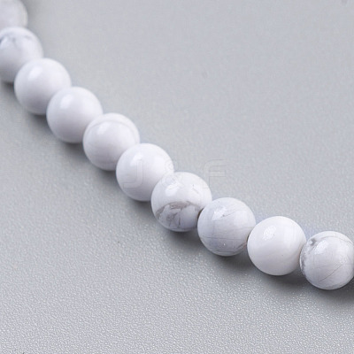 Natural Howlite Beads Strands TURQ-G091-10mm-1