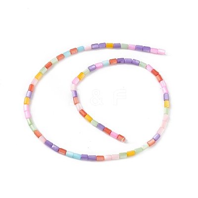 Natural Freshwater Shell Dyed Beads Strands SHEL-M018-12-13-1