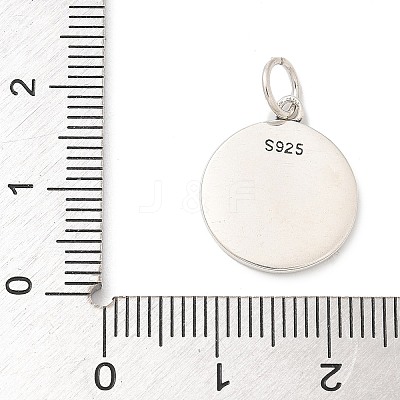 925 Sterling Silver Pendants STER-R008-04AS-05-1