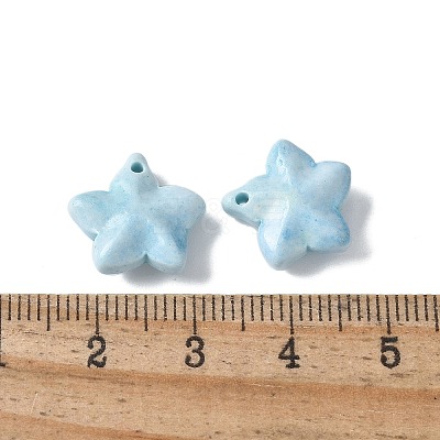Natural Rainbow Alashan Agate Charms G-G194-02F-1