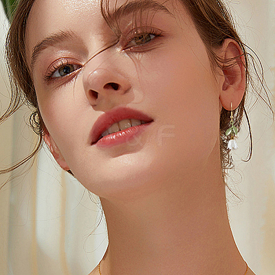2 Pairs 2 Styles Alloy Enamel Dangle Earrings EJEW-HS00006-1