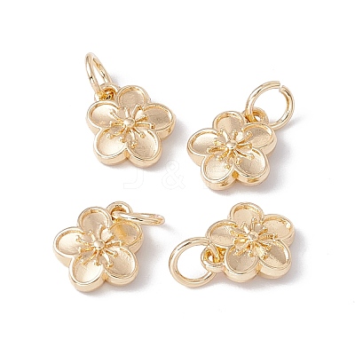 Rack Plating Alloy Charms FIND-G036-02LG-1