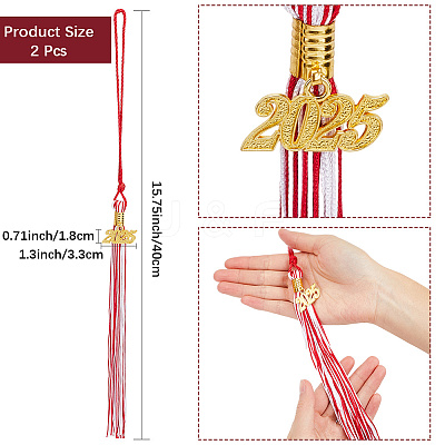 Polyester Graduation Tassel Pendant Decorations AJEW-WH20020-078E-1