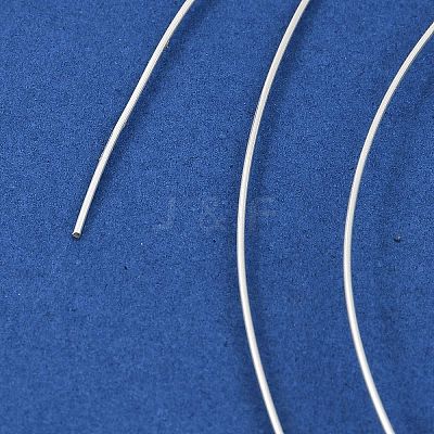 925 Sterling Silver Wire FIND-Q117-01D-S-1