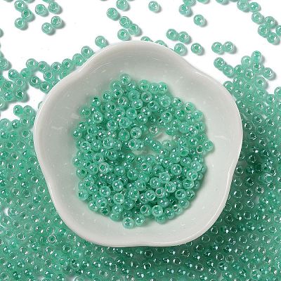 Glass Seed Beads SEED-H002-E-A1417-1
