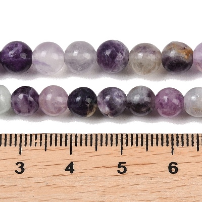 Natural Fluorite Beads Strands G-P530-B04-02A-1