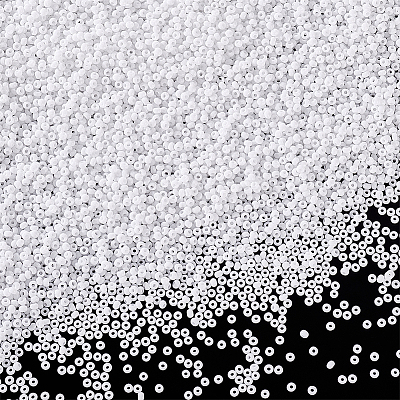 11/0 Glass Seed Beads SEED-PH0003-06-1