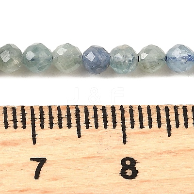 Natural Kyanite/Cyanite/Disthene Beads Strands G-G259-D04-3mm-1
