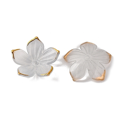 Transparent Acrylic Bead Caps TACR-P011-03D-1