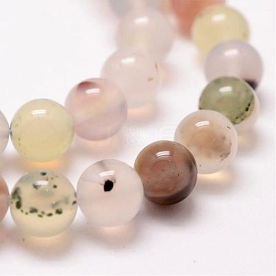 Natural Dendritic Agate Bead Strands G-G880-01-10mm-1