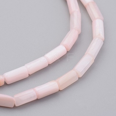 Natural Shell Bead Strands BSHE-P016-02-1