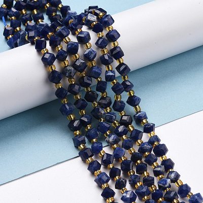 Natural Sodalite Beads Strands G-P463-03-1