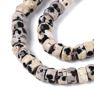 Natural Dalmatian Jasper Beads Strands G-Q606-46A-01-1