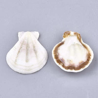 Natural Scallop Shell Beads SSHEL-S258-52-1