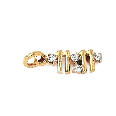 304 Stainless Steel Micro Pave Cubic Zirconia Charms STAS-D364-01G-1