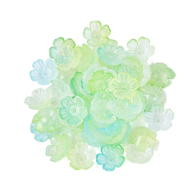Transparent Plastic Bead Caps KY-Q005-02A-03-1