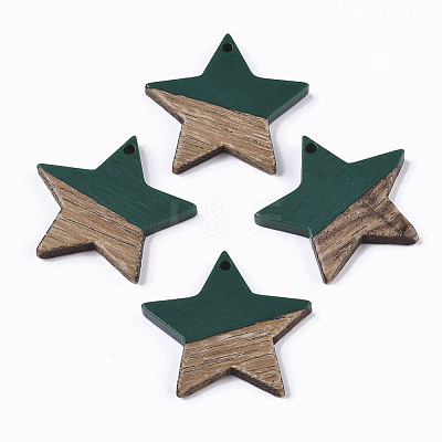 Resin & Wood Pendants X-RESI-T023-23E-1