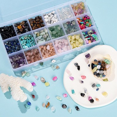 270G 18 Style Natural & Synthetic Gemstone and Shell Chip Beads G-FS0001-25-1