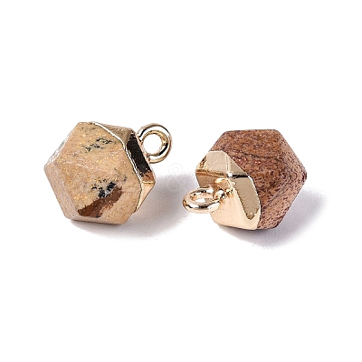 Natural Picture Jasper Pendants G-N359-18G-13-1