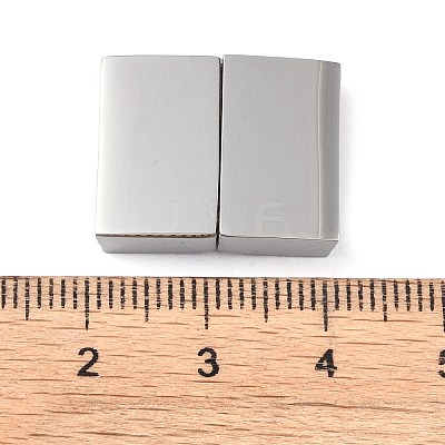 Tarnish Resistant 304 Stainless Steel Magnetic Clasps with Glue-in Ends STAS-G163-60P-01-1