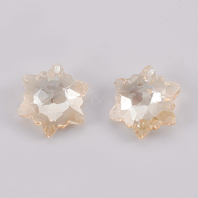 K9 Glass Rhinestone Pendants GLAA-F083-03A-04-1