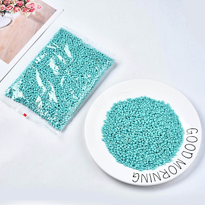 6/0 Glass Seed Beads SEED-S058-A-F437-1
