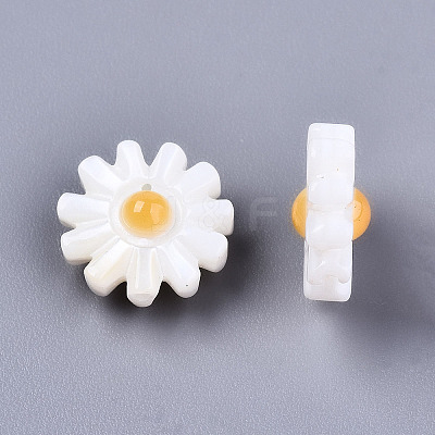 Natural Freshwater Shell Beads SHEL-S266-14A-01-1