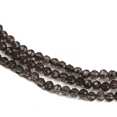 Natural Smoky Quartz Beads Strands G-P553-G05-01-1