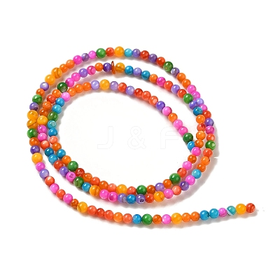 Ice Cream Color Dyed Natural Freshwater Shell Beads Strands X1-SHEL-G018-01D-1