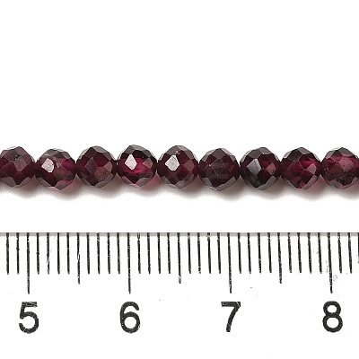 Natural Garnet Beads Strands G-F460-28-01-1