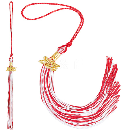 Polyester Graduation Tassel Pendant Decorations AJEW-WH20020-078E-1