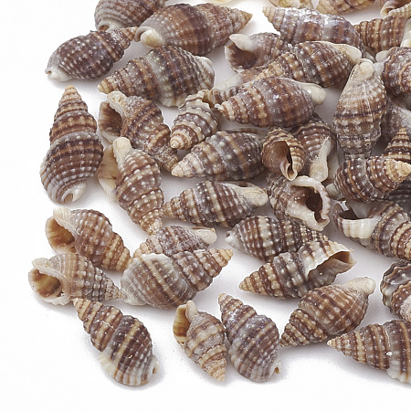 Sea Shell Beads X-SSHEL-S258-03-1