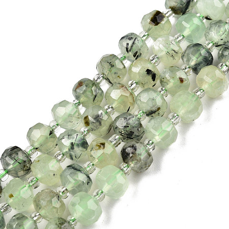 Natural Prehnite Beads Strands G-N327-08H-1