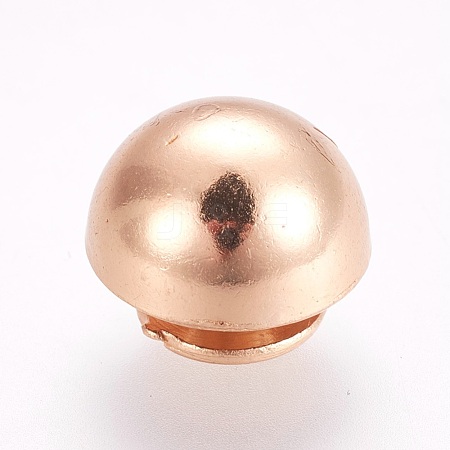 Alloy Studs Rivets PALLOY-WH0052-03LG-1
