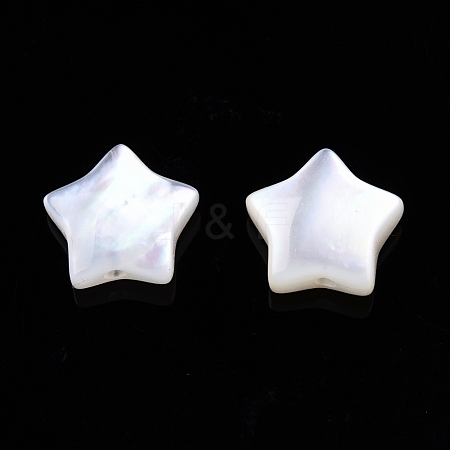 Natural White Shell Beads SSHEL-N032-54B-1