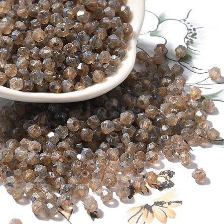 Baking Paint Glass Seed Beads X1-SEED-A032-02A-13-1