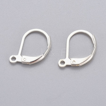 304 Stainless Steel Leverback Earring Findings STAS-H434-51S-1