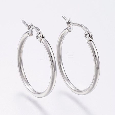 Tarnish Resistant 304 Stainless Steel Hoop Earrings EJEW-F105-09P-1