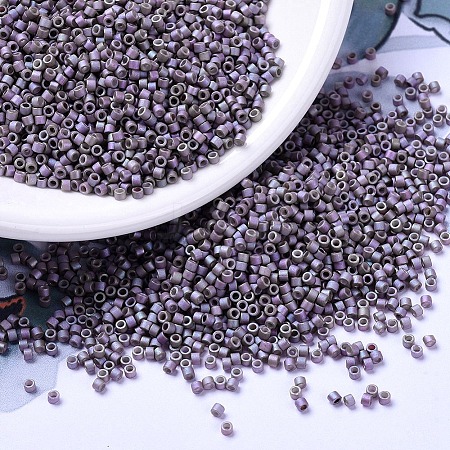 MIYUKI Delica Beads X-SEED-J020-DB1065-1