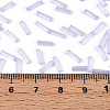 Glass Bugle Beads SEED-N007-28D-4