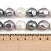 Electroplated Shell Pearl Beads Strands BSHE-H113-03B-4