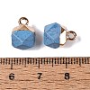 Dyed Synthetic Turquoise Pendants G-N359-18G-20-3