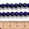 Natural Lapis Lazuli Beads Strands G-H329-C01-6mm-5