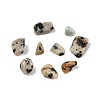  Natural Dalmatian Jasper Chip Beads G-M055-04-2