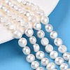 Natural Cultured Freshwater Pearl Beads Strands PEAR-N014-08H-01-2