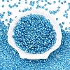 6/0 Baking Paint Transparent Fringe Glass Seed Beads X1-SEED-N006-06L-2