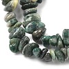 Natural Jade Beads Strands G-Z081-A02-4