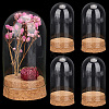   4 Sets Transparent Glass Dome AJEW-PH0004-14-8