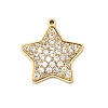 304 Stainless Steel Micro Pave Cubic Zirconia Charms STAS-I356-04G-03-1